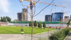 В мэрии рассказали, почему саженцы у Вечного огня выглядят болезненно В мэрии рассказали, почему саженцы у Вечного огня выглядят болезненно