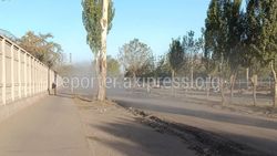 По закрытому участку улицы Льва Толстого ездят машины и поднимают пыль. Ответ мэрии По закрытому участку улицы Льва Толстого ездят машины и поднимают пыль. Ответ мэрии