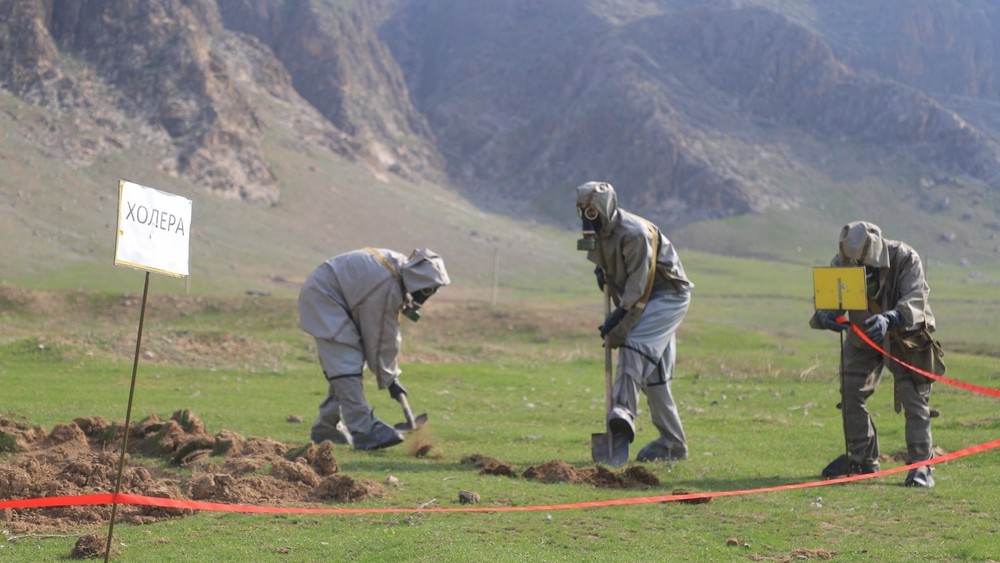 Иллюстративное фото