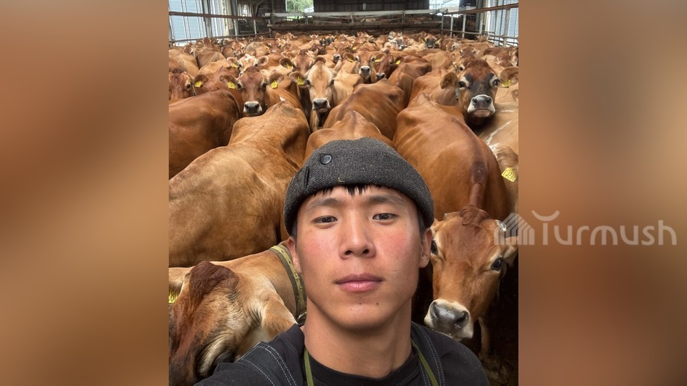 Сардарбек Сулайманов на молочной ферме