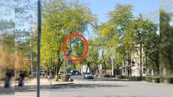 Горожанин просит вернуть светофор на Московская-Молодая Гвардия Горожанин просит вернуть светофор на Московская-Молодая Гвардия