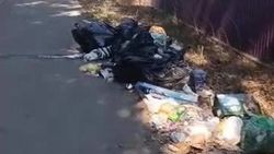 «Тазалык» убрал мусор с тротуара по улице Дзержинской «Тазалык» убрал мусор с тротуара по улице Дзержинской