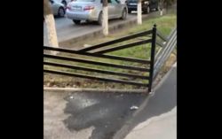 На улице Масалиева в Оше поливают асфальт, а не деревья, - горожанка На улице Масалиева в Оше поливают асфальт, а не деревья, - горожанка