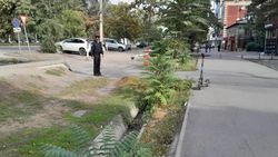 Муниципальная инспекция направит письмо в патрульную службу по авто в зеленой зоне Муниципальная инспекция направит письмо в патрульную службу по авто в зеленой зоне