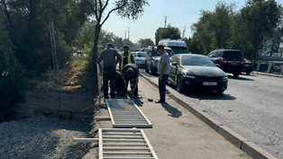 Иллюстративное фото