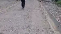 Больше месяца не могут закончить ремонт тротуара на улице Московской, - горожанин