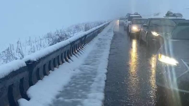 Иллюстрациялык сүрөт