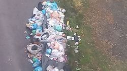 Переполненные баки в 7 мкр. Фото