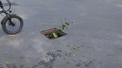 На Советской нет решетки ливнеприемника. Фото