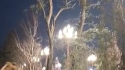 Напротив нового Белого дома высыхают деревья. Видео Напротив нового Белого дома высыхают деревья. Видео