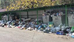 В 10 микрорайоне не вывозят мусор, - горожанин В 10 микрорайоне не вывозят мусор, - горожанин