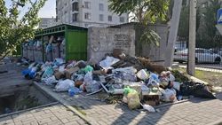 Житель 12 микрорайона пожаловался на отсутствие вывоза мусора Житель 12 микрорайона пожаловался на отсутствие вывоза мусора