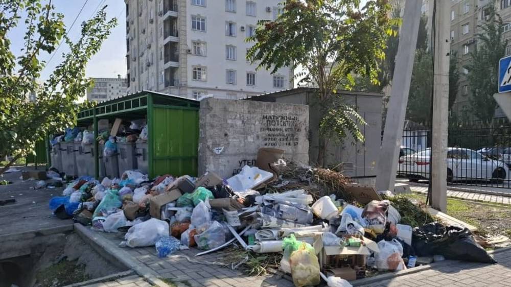 Житель 12 микрорайона пожаловался на отсутствие вывоза мусора