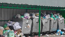 Еще один житель микрорайонов Бишкека пожаловался на отсутствие вывоза мусора Еще один житель микрорайонов Бишкека пожаловался на отсутствие вывоза мусора