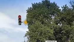 На Алматинке знак не видно из-за веток дерева. Фото