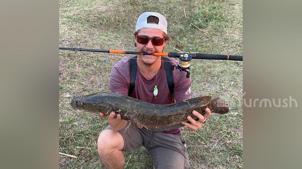 Артур Седов