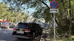 На Ибраимова водители массово паркуются в неположенном месте. Фото