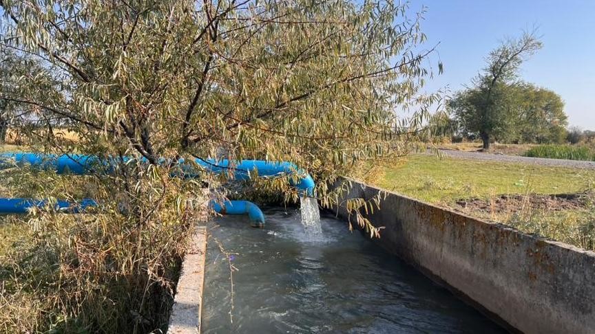 Иллюстративное фото