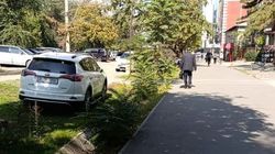 «Тойота RAV4» снова стоит в зеленой зоне на Ибраимова. Фото