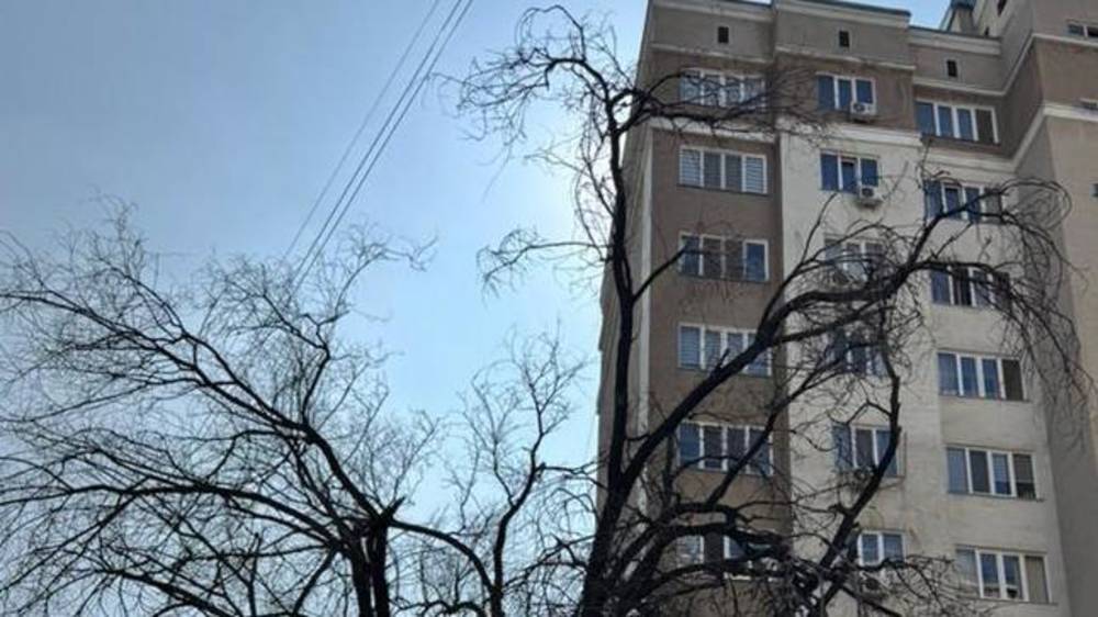 Сухое дерево на Белорусской все еще не убрали, - горожанин