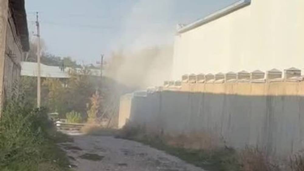 Горожанин жалуется на едкий дым на Льва Толстого. Видео