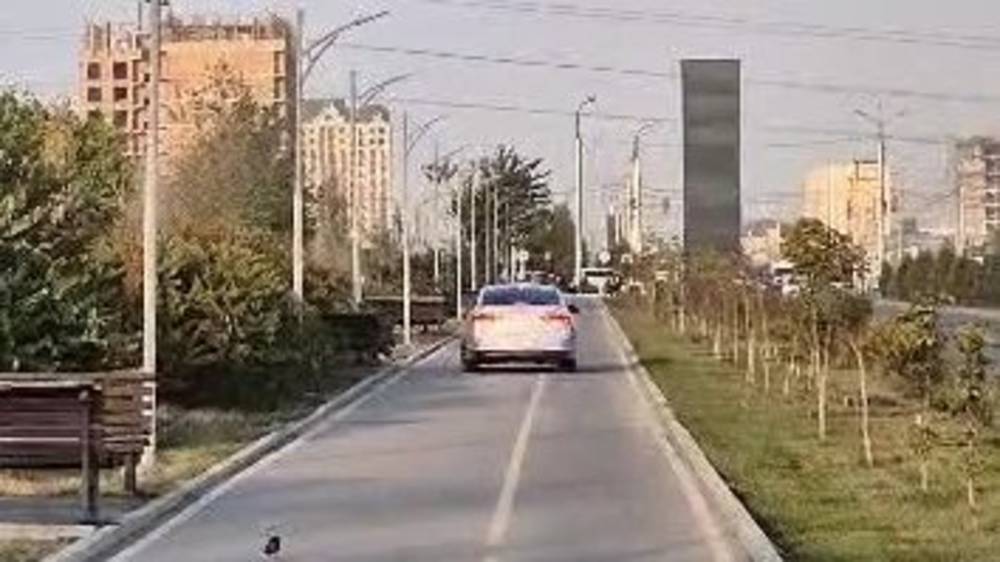 «Соната» едет по тротуару на Южной магистрали. Видео