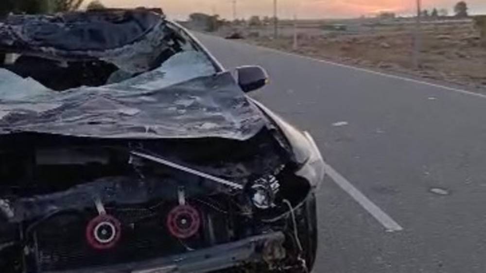 На Иссык-Куле машина сбила лошадь. Видео с места аварии