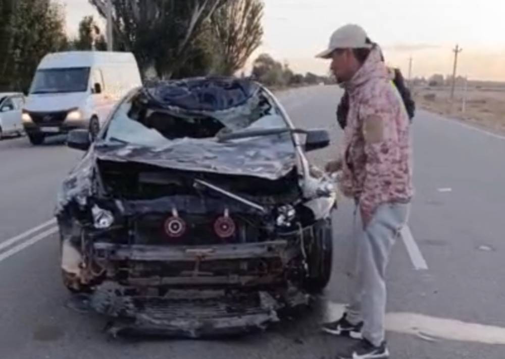 Лошадь вышла на дорогу — после аварии на Иссык-Куле госпитализировали водителя и пассажира машины