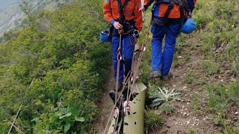 Иллюстративное фото