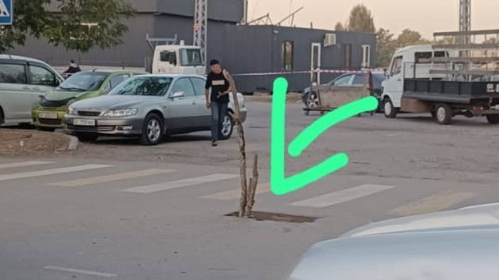 Ливнеприемник на Лермонтова закрыли. Фото мэрии