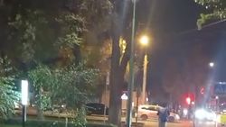 Сухое дерево на Советской все еще не убрали. Видео горожанина