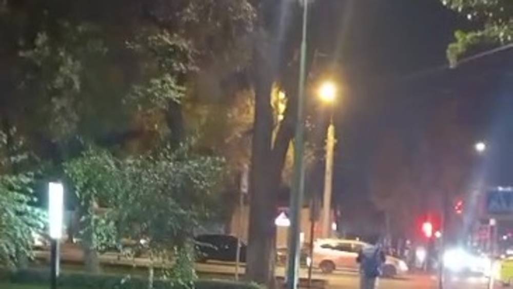 Сухое дерево на Советской все еще не убрали. Видео горожанина