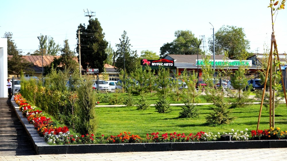 Иллюстративное фото