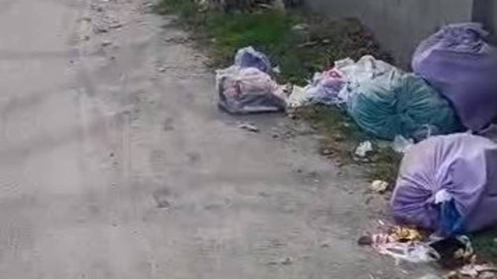 Мешки с мусором на дороге в Лебединовке. Видео