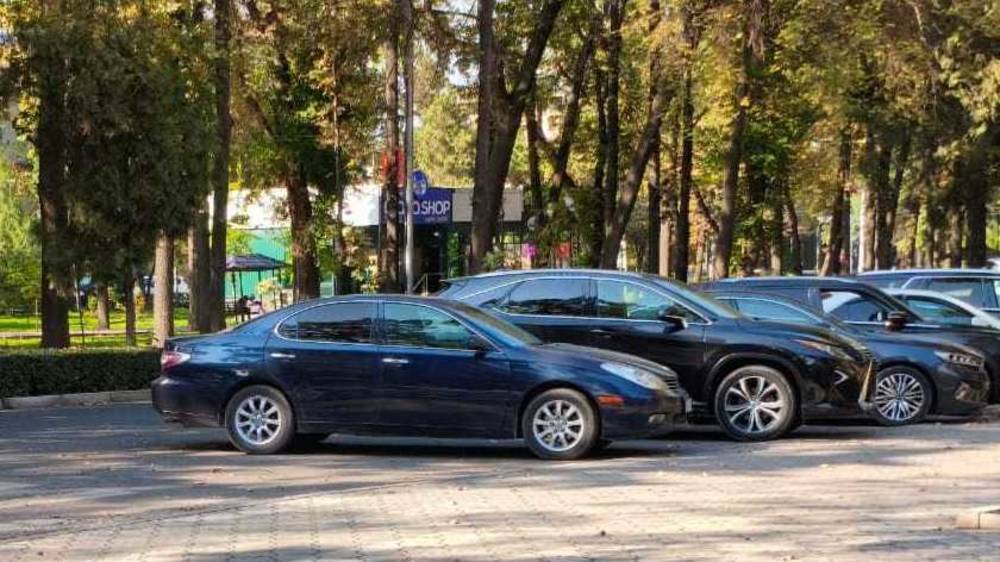 Водителей, припаркованных в неположенном месте на бульваре Эркиндик, оштрафовали