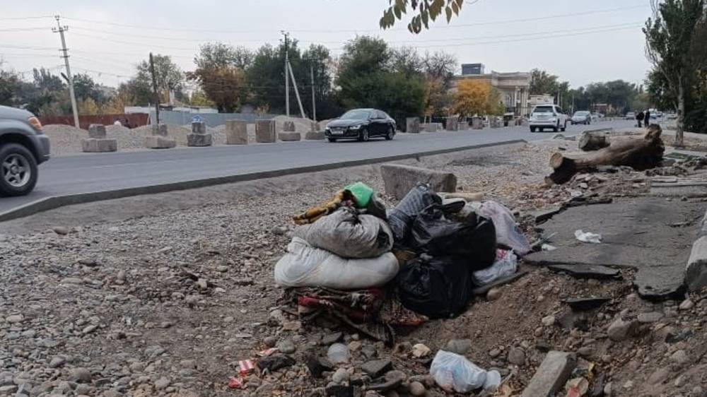 Житель Лебединовки жалуется на мусор на обочине. Фото