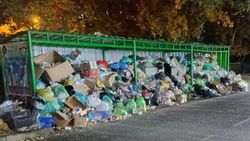 Мусорная площадка на Ахунбаева забита. Фото Мусорная площадка на Ахунбаева забита. Фото