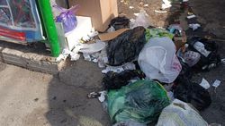 Горожанин просит почистить территорию вокруг мусорных баков на Мичурина. Фото Горожанин просит почистить территорию вокруг мусорных баков на Мичурина. Фото