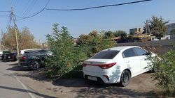 Зеленая зона вдоль реки Аламедин заставлена машинами. Фото Зеленая зона вдоль реки Аламедин заставлена машинами. Фото