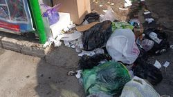 «Тазалык» вывез мусор на Мичурина и очистил территорию. Фото мэрии