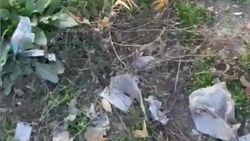 «Тазалык» установит новую мусорную площадку в Лебединовке