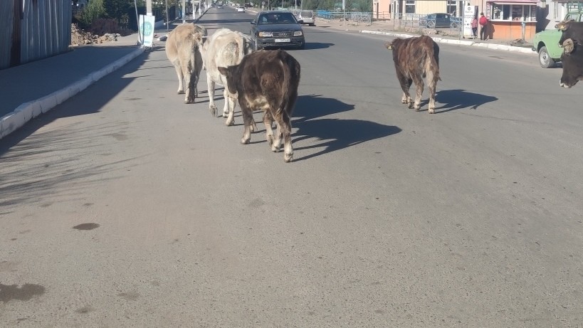 Иллюстративное фото