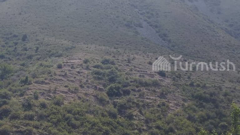 Иллюстративное фото