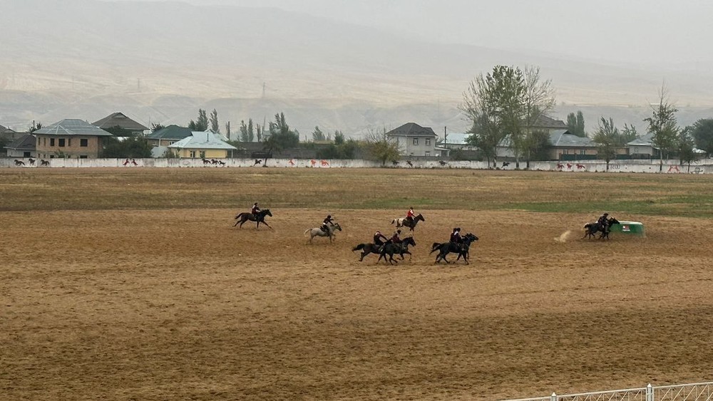 Иллюстрациялык сүрөт