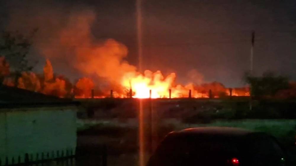 На территории Ботсада снова произошел пожар. Видео