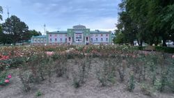 Почему «Зеленхоз» использует устаревшие методы озеленения? - горожанин