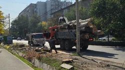 На Исанова срубили деревья. Фото