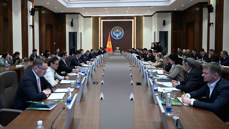 Вера Сотникованың кискасы