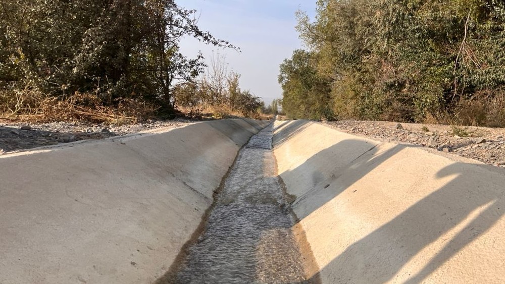 Иллюстративное фото