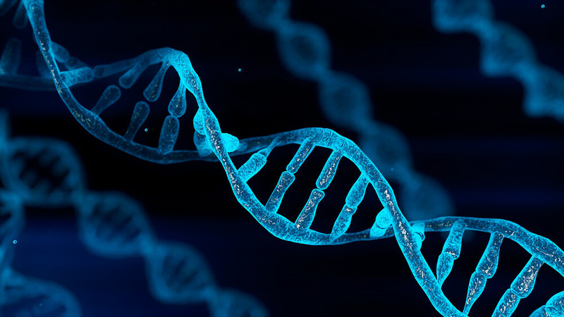 Uzbek scientists uncover dozens of new genetic mutations, link high rate to consanguineous marriages